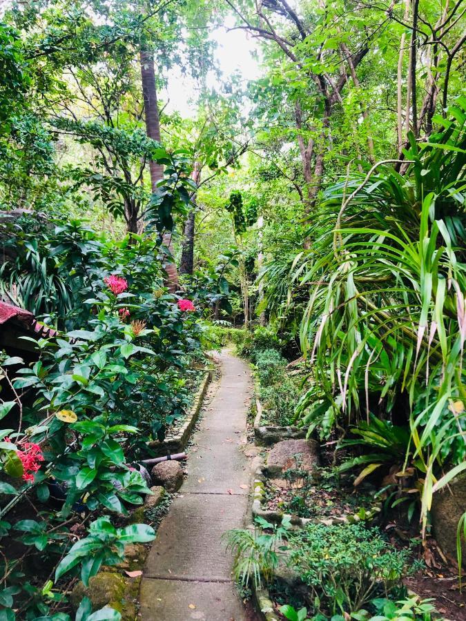 Bambu Huts Hotel Baan Tai Exterior foto