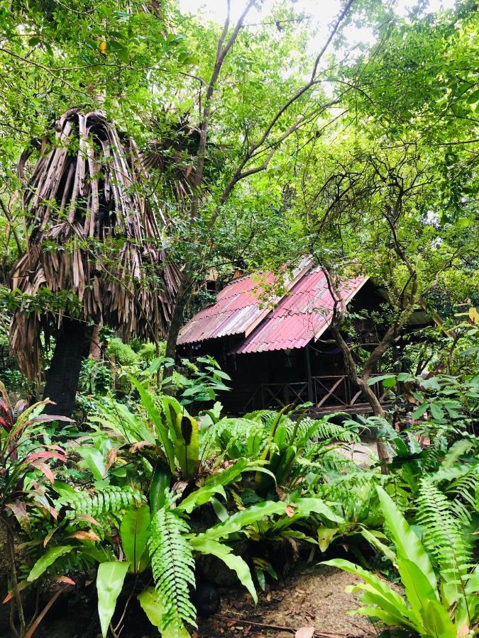 Bambu Huts Hotel Baan Tai Exterior foto